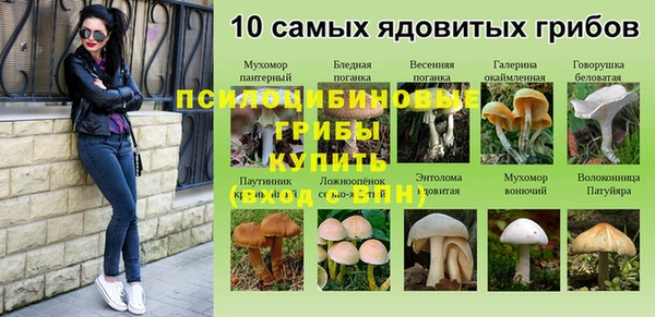 скорость mdpv Ельня