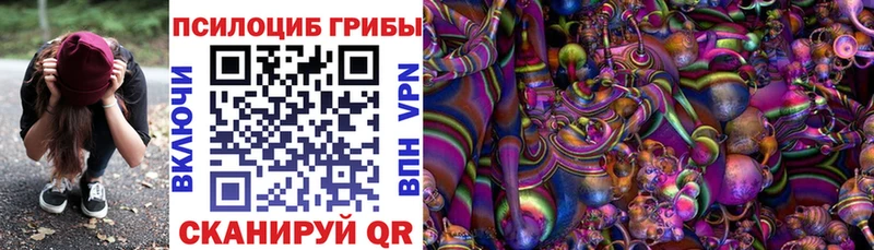 Псилоцибиновые грибы Psilocybine cubensis  KRAKEN зеркало  сайты даркнета какой сайт  где найти   Фатеж 